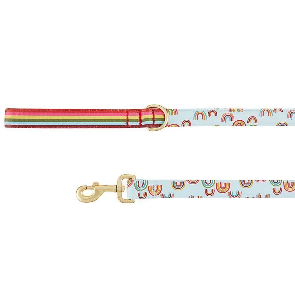 Top Paw Neoprene Dog Leash (Aquamarine Rainbow Print)